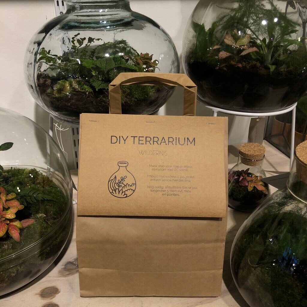 Make your own terrarium