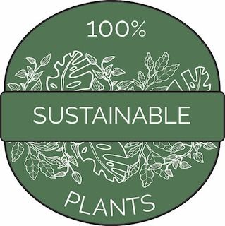Bring Wildernis into your company with 100% sustainably grown plants