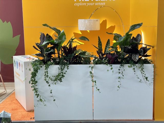 Bring your exhibition stand to life with 100% sustainably grown plants
