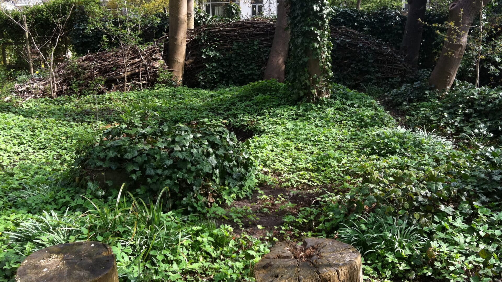 Groot onderhoud Natuurtuin Cinetol