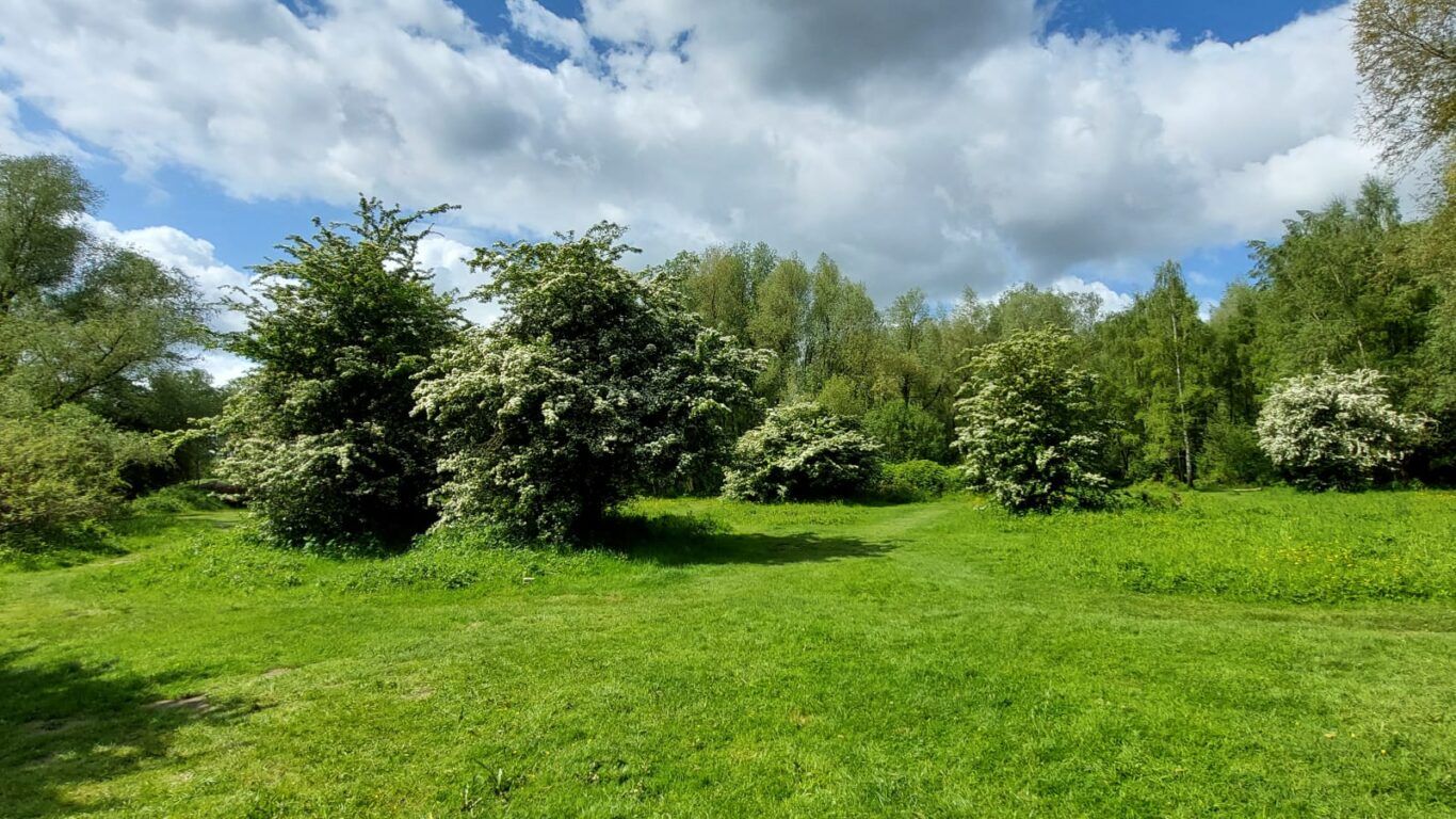 Natuurwerkdag Landschapspark de Oeverlanden