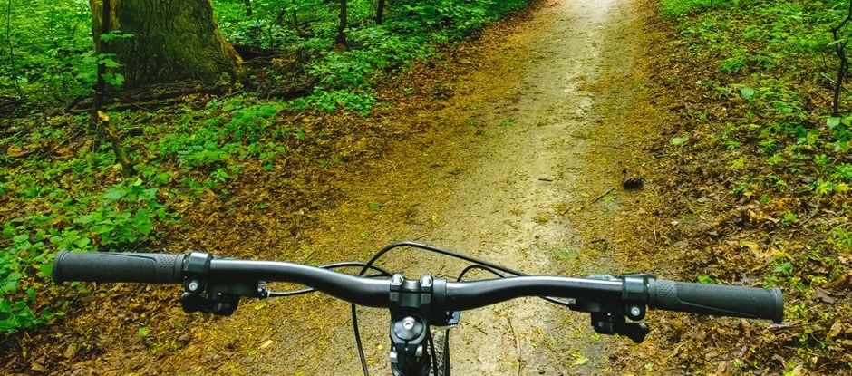 Fietstocht met de Boswachter