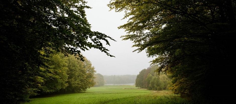 Heuvelwandeling in het Amsterdamse Bos