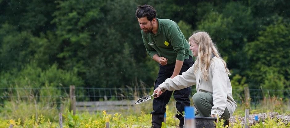 Voedselbos en Vogeleiland wandeling